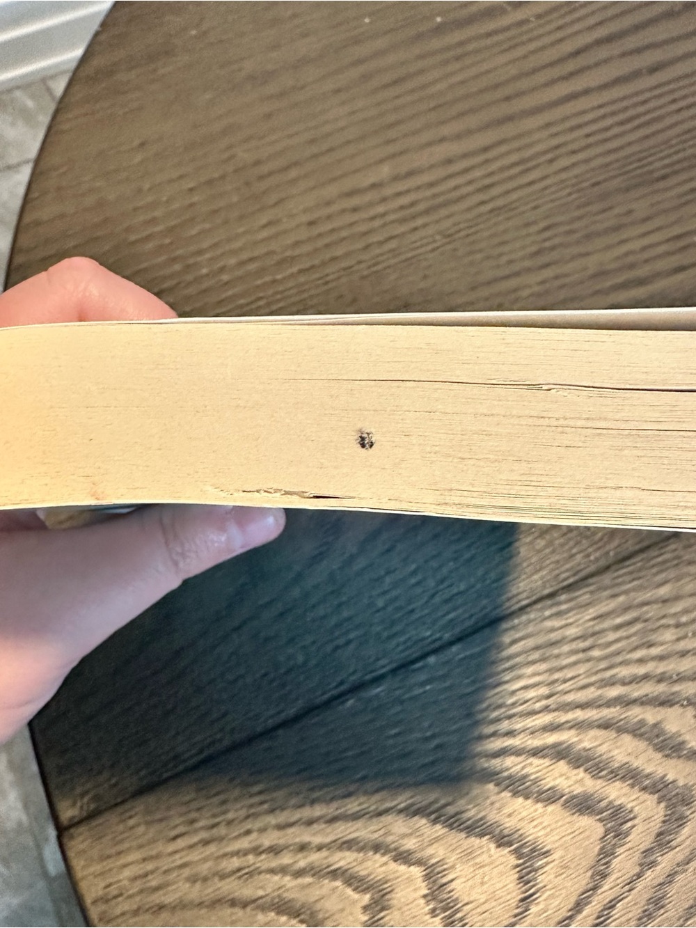📚5 for $25 📚Vanessa Yu's Magical Paris Tea Shop - Picture 3 of 4